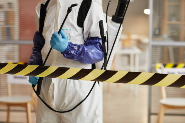 Professional Sewage Cleanup technician working in Holderness, NH